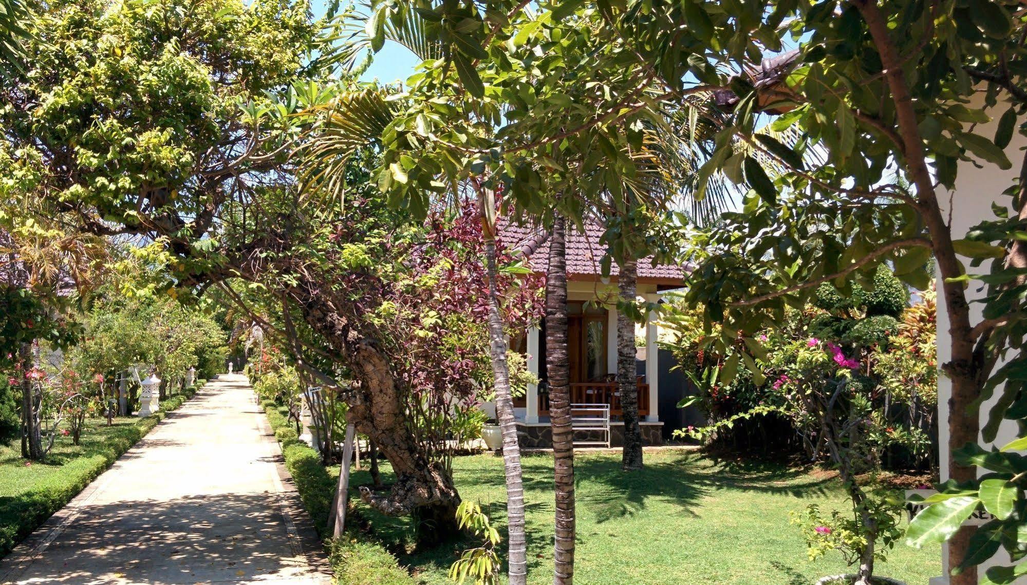 New Starlight Hotel Lovina Exterior photo